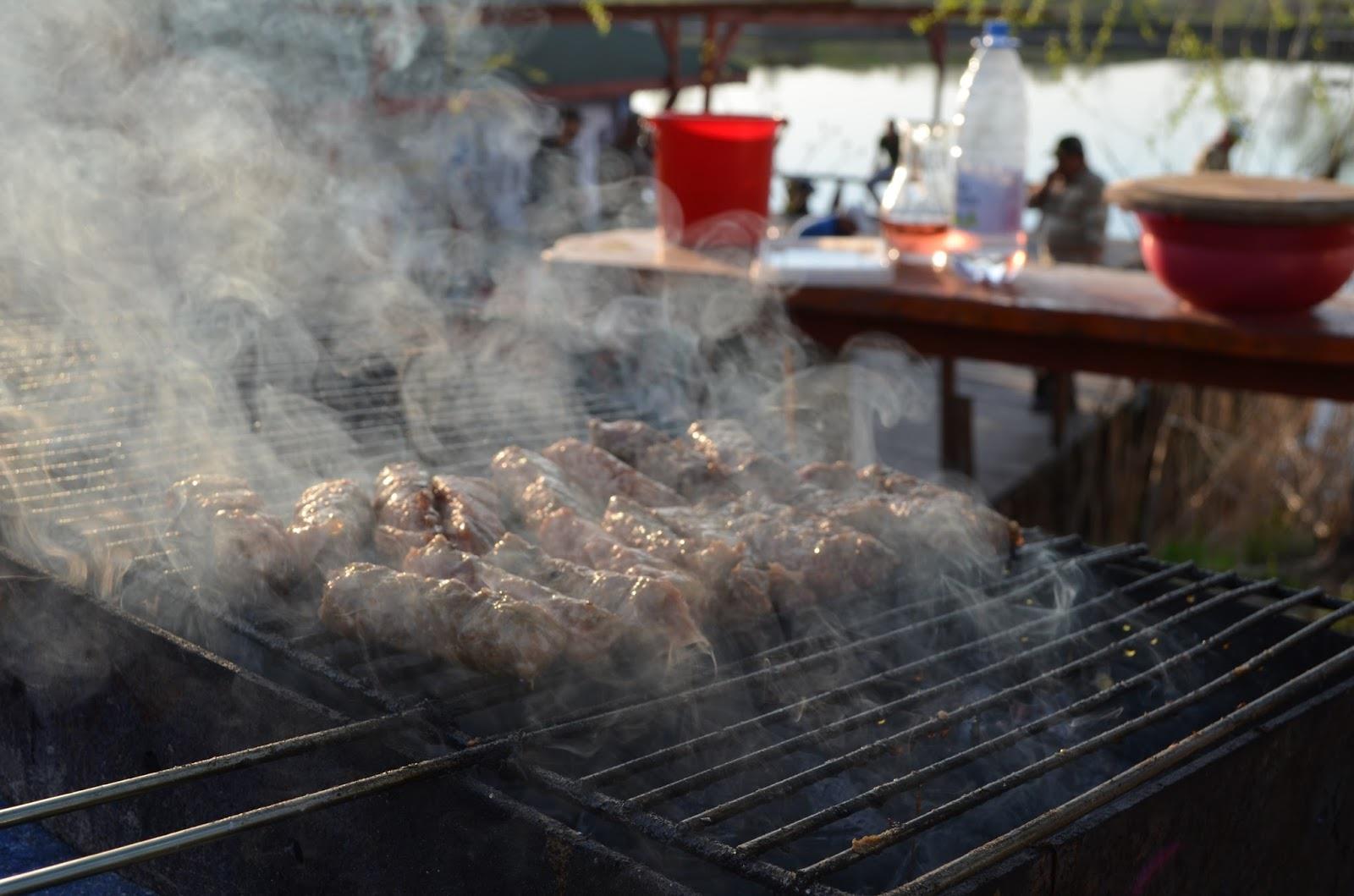 Teslui 2014 - part 1 - image1111.jpg